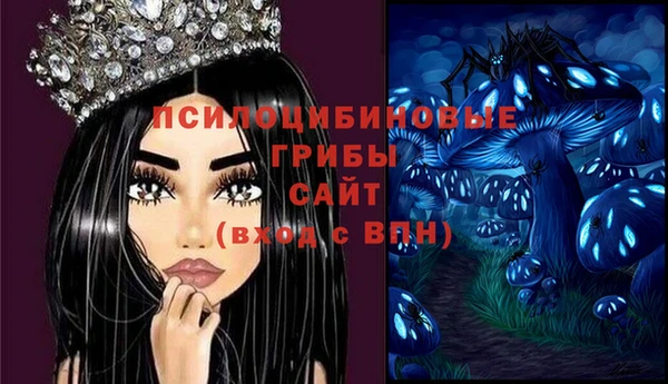 МДПВ Алзамай