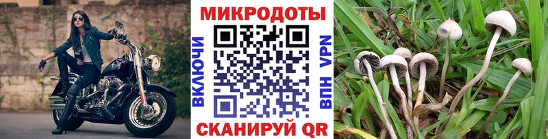 Галлюциногенные грибы MAGIC MUSHROOMS  Борзя 