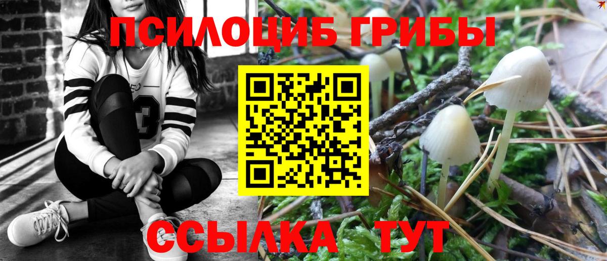Псилоцибиновые грибы MAGIC MUSHROOMS  Вход с VPN  Борзя 